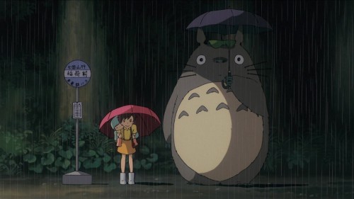 Totoro 