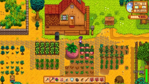 stardew valley