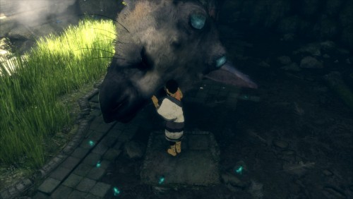 The Last Guardian