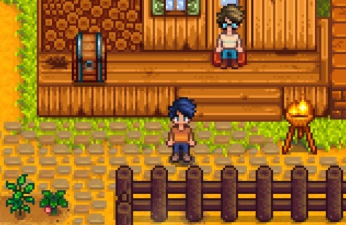 Stardew Valley 
