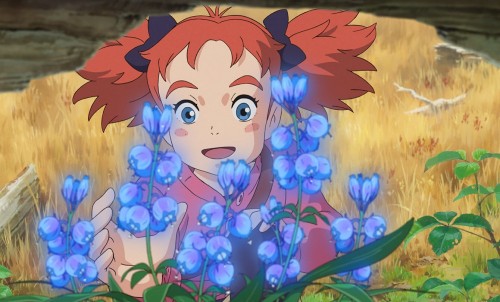 Mary and the witchs flower