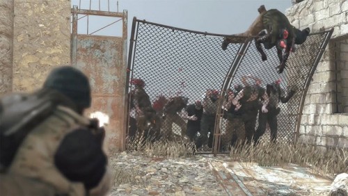 Metal Gear Survive