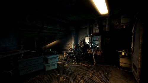 SOMA