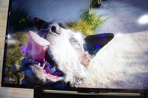 Far Cry 5