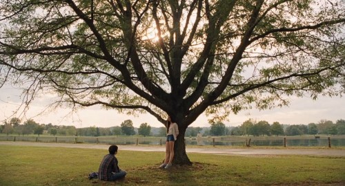 The Killing of a Sacred Deer