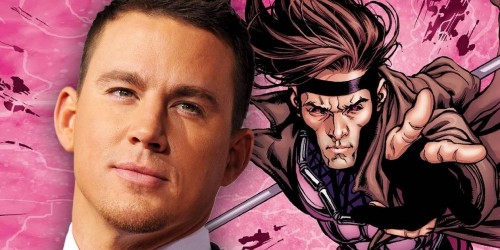 Gambit