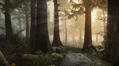 Mavericks: Proving Grounds