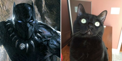 Black Panther