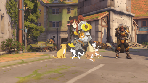 overwatch