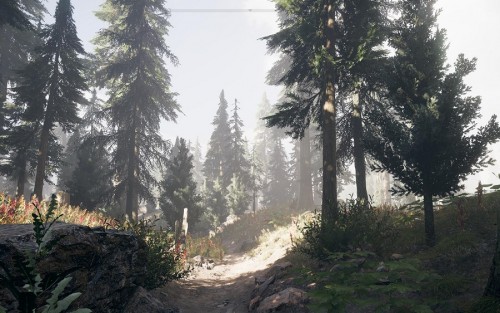 Far Cry 5