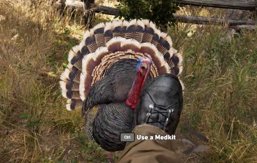 Far Cry 5
