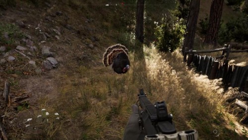 Far Cry 5