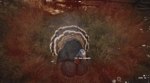 Far Cry 5