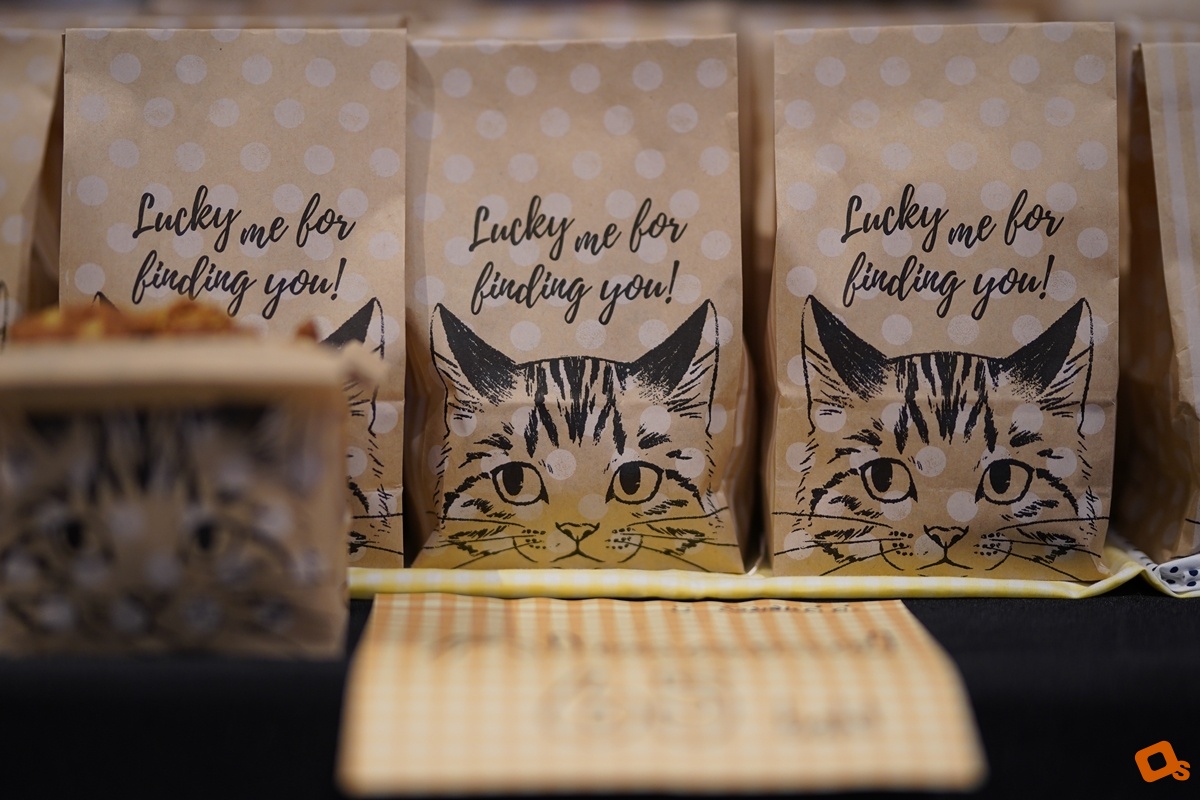 Cat foodival
