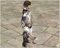 Large Image