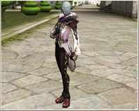 Large Image