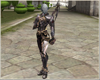 Large Image