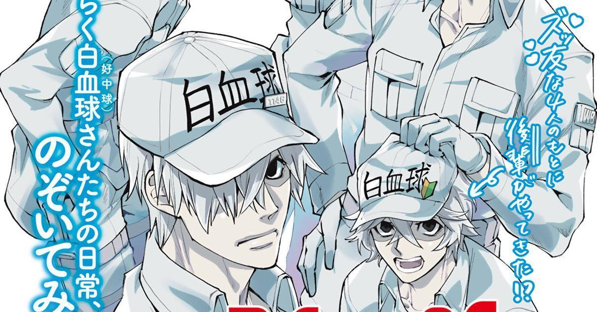 Cells at Work! ออกมังงะ Spin-off ภาคใหม่อีกภาคในชื่อ Cells at Work! White
