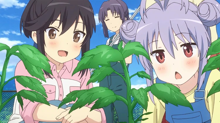 Non Non Biyori ซีซั่น 3