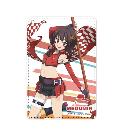 Pocket Pass Case