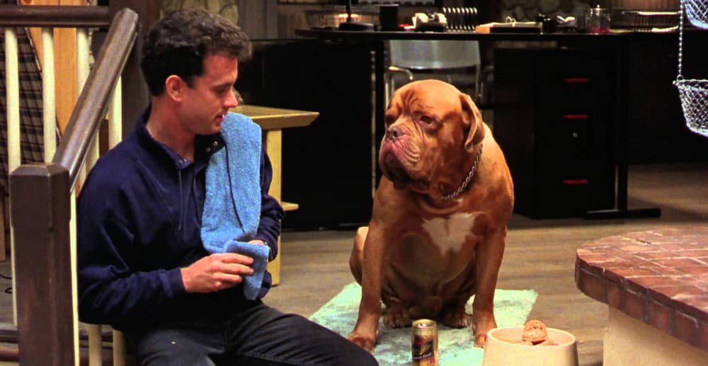 Turner and Hooch