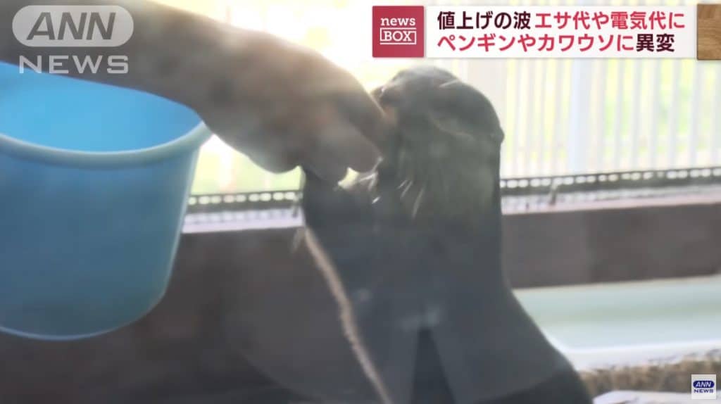 Hakone-en Aquarium