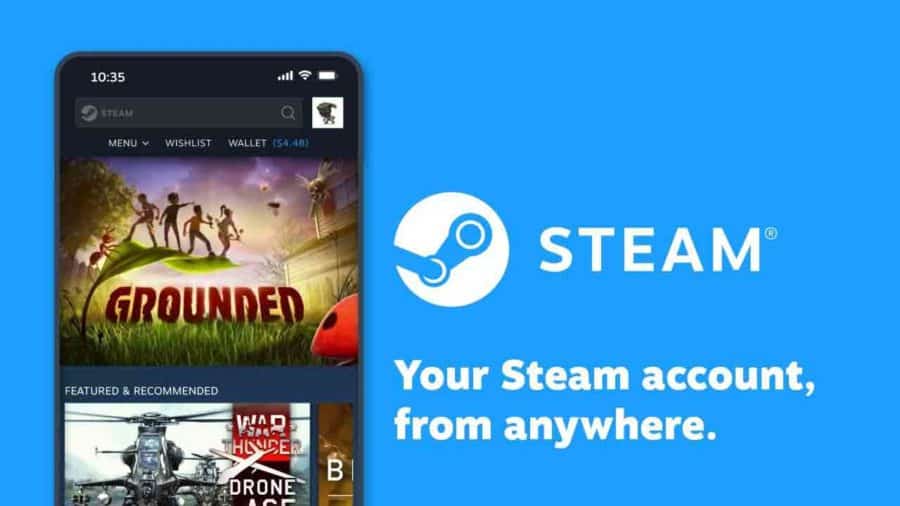 Steam