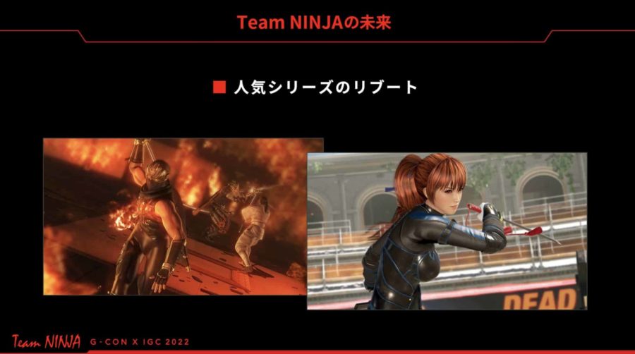 Ninja Gaiden