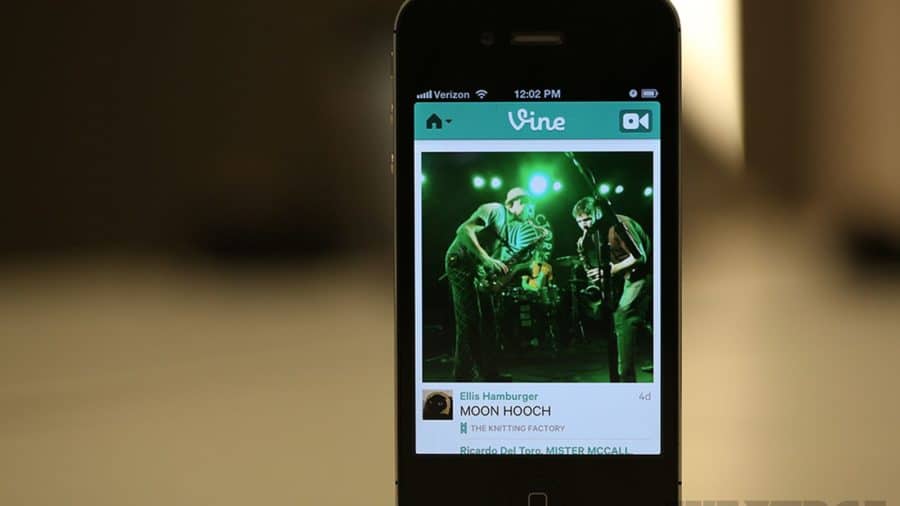 Vine
