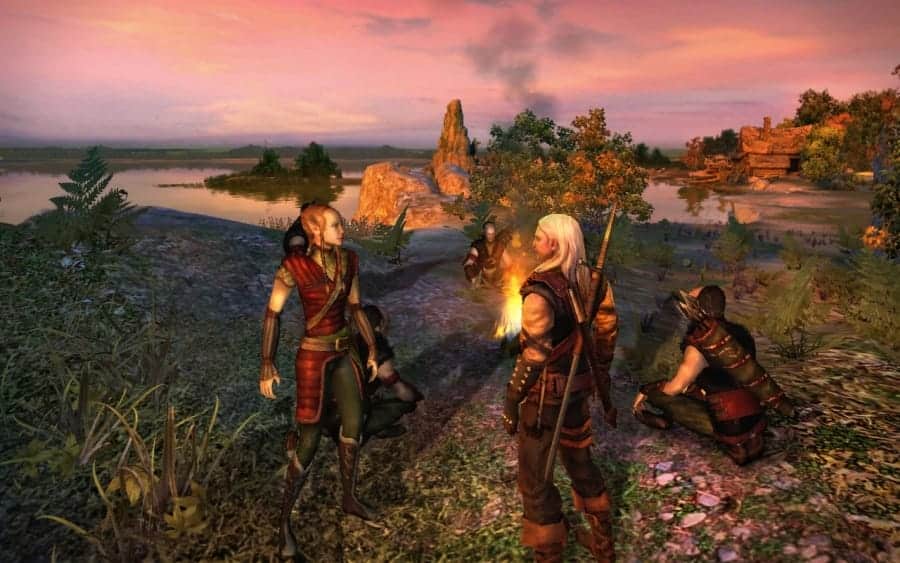 the witcher