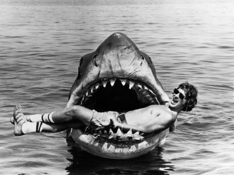 Jaws