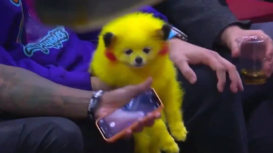 Pokemon