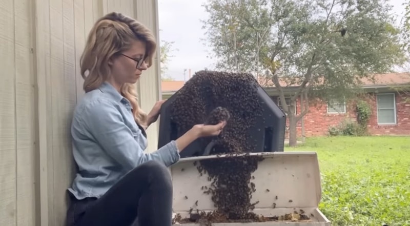 texas beeworks