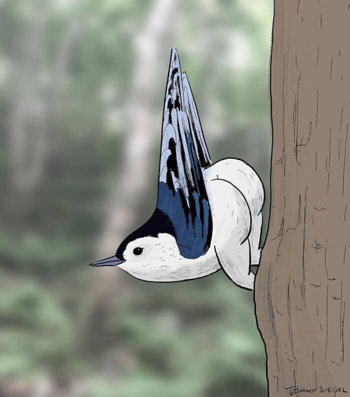 ภาพวาด