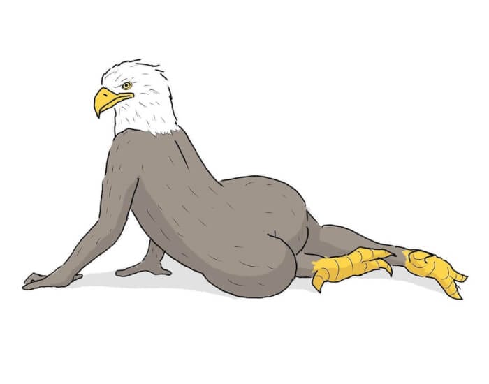 ภาพวาด