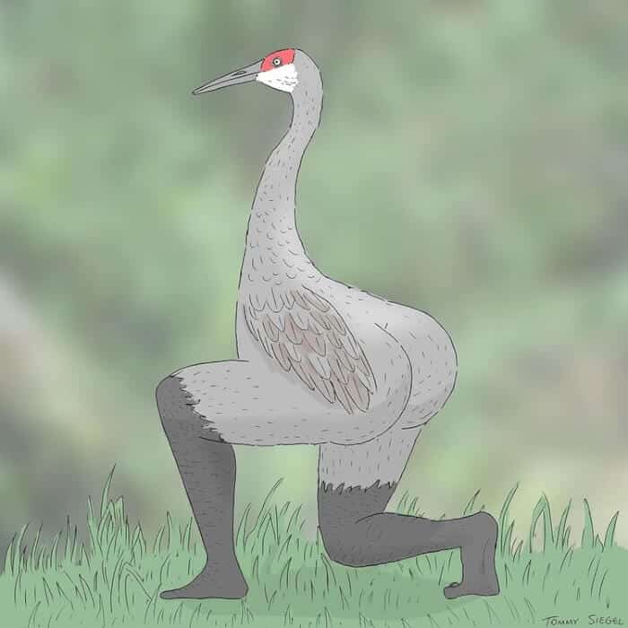 ภาพวาด
