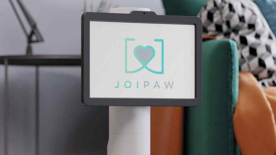 Joipaw