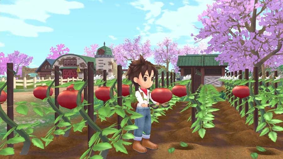 Story of Seasons: A Wonderful Life
