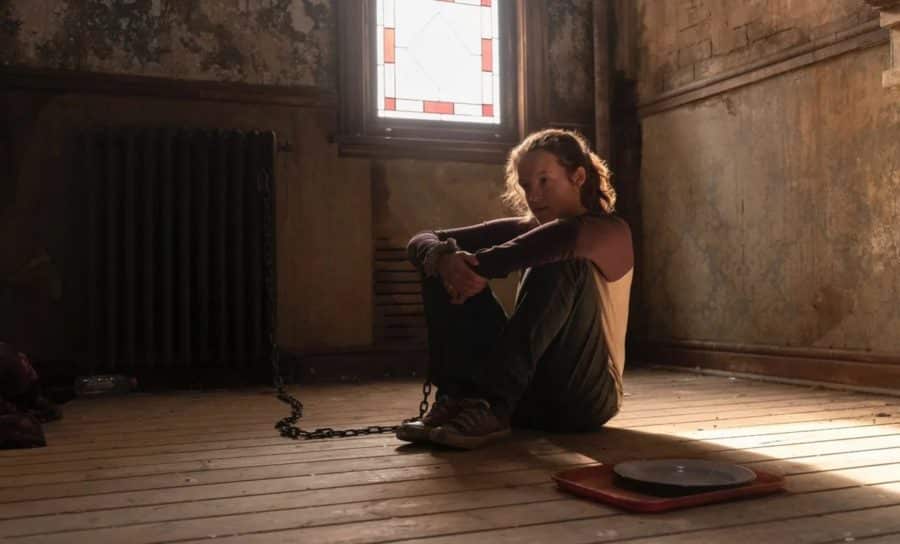 The Last of Us