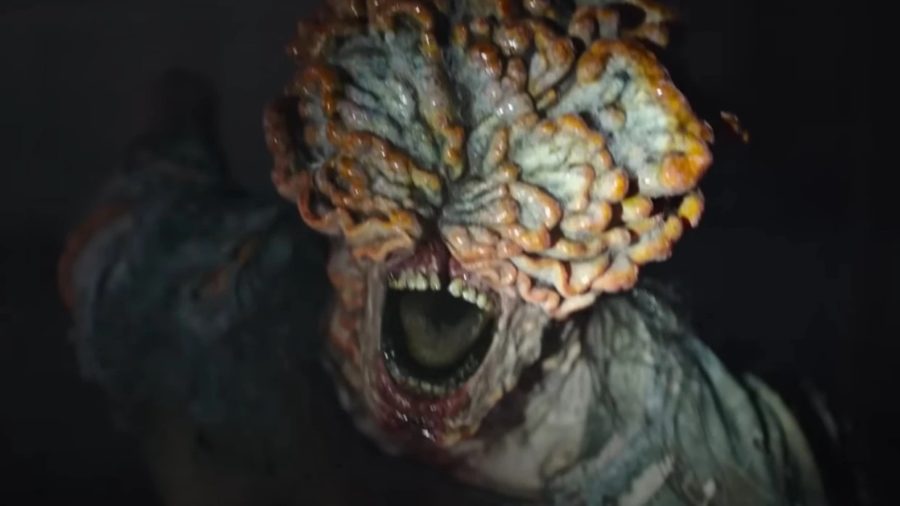 The Last of Us