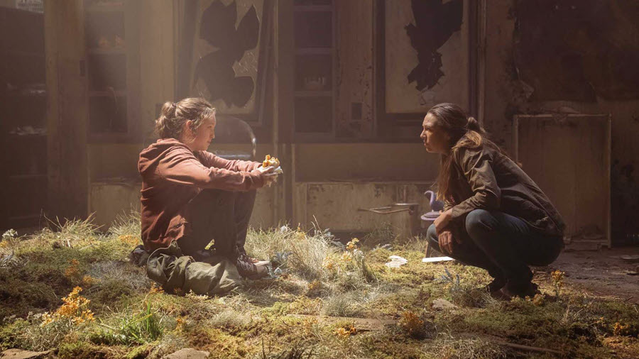 The Last Of Us