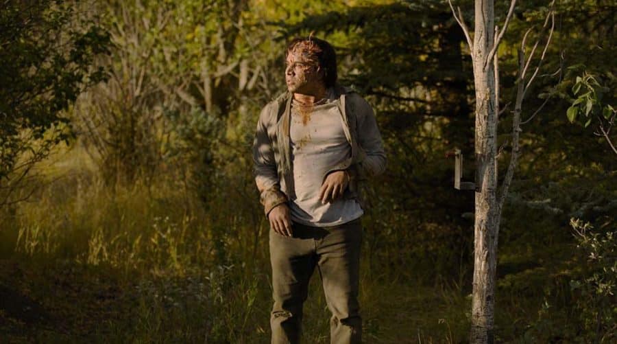The Last of Us