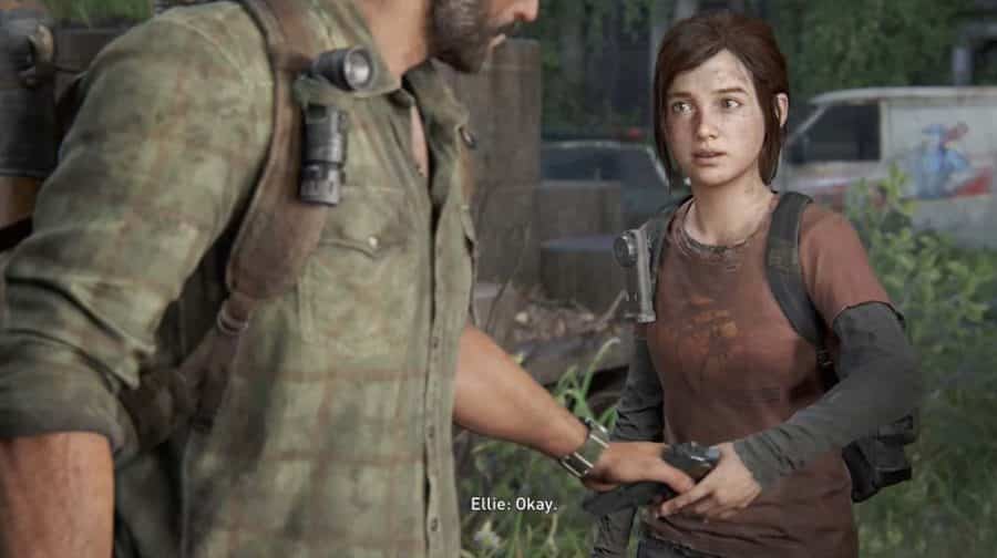 The Last of Us