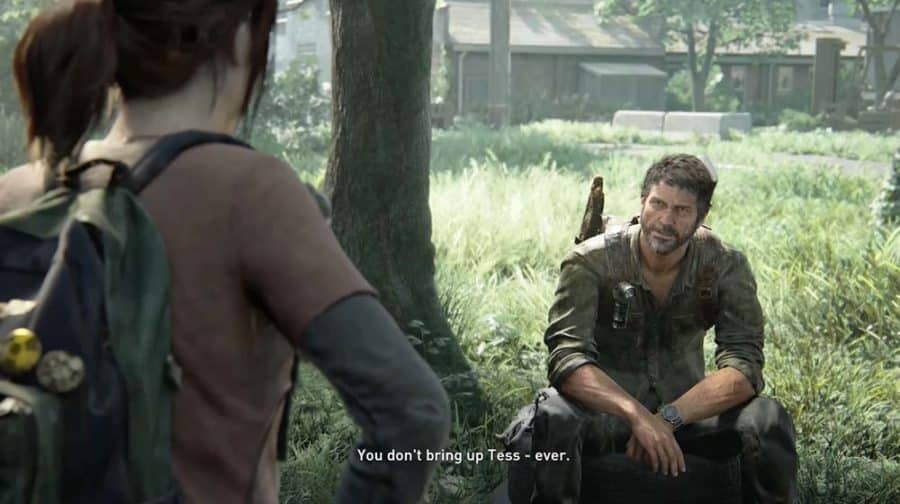The Last of Us