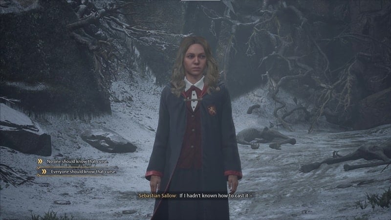 Hogwarts Legacy