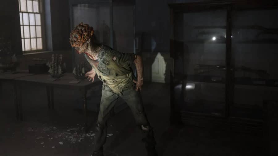 The Last of Us
