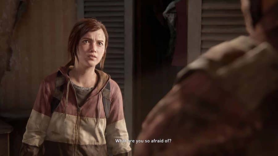 The Last of Us