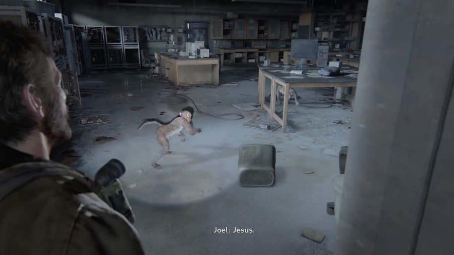 The Last of Us