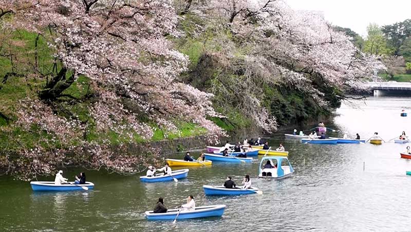 Chidorigafuchi Park