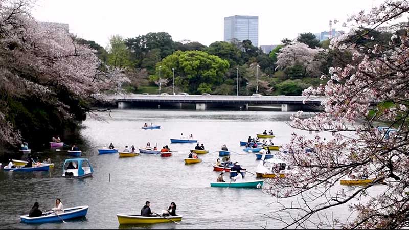 Chidorigafuchi Park